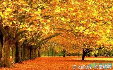 描写秋冬的经典句子