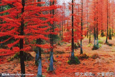关于有起色的名言