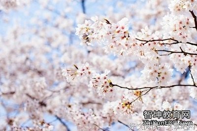 我不后悔我爱过她，只是后悔浪费了这五年的光阴...