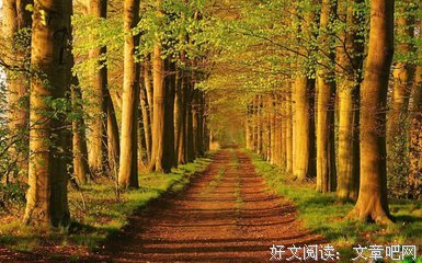 最经典的索罗斯经典句子