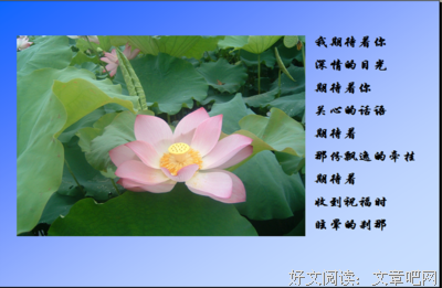 《花田半亩》经典名句