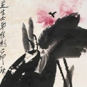 《素履之往》小说书摘大全