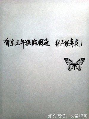 我没有原谅你 我只是放过了自己