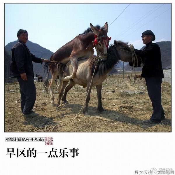 扯白||有些女人靠温柔活，有些女人靠硬净活