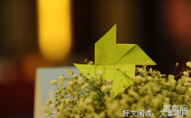 “我的局长爸爸是渣男，阿姨千万别嫁！”