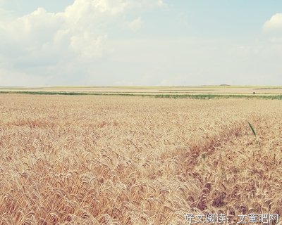 青山刚昌的名句_关于青山刚昌的名句