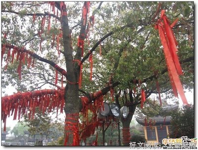 2018膏药狐名言
