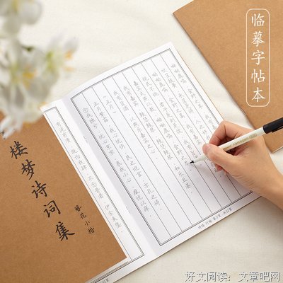 《白钻石》经典观后感10篇