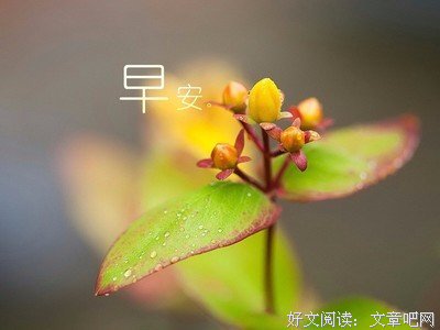 早安心语励志问候分享语句 早安励志图片大全