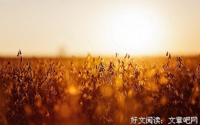 关于嗯哼。的优美句子