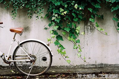 有关淡定的句子