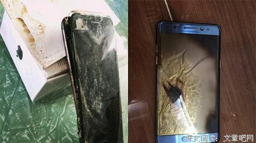 关于虎鲸的名言