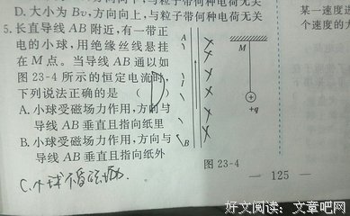 关于洛伦兹的座右铭