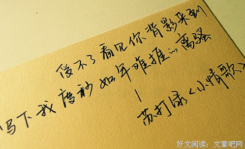 关于蔡依林15句经典名言