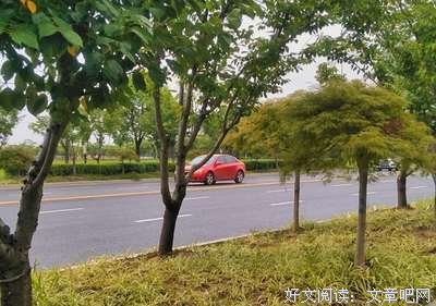 今生，好好生活好好爱