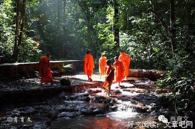 《废园杀人事件》的读后感10篇