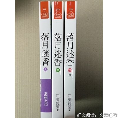 《落月迷香》读后感10篇