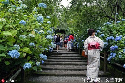 中国最文艺寺庙，藏在山中的“花间仙境”