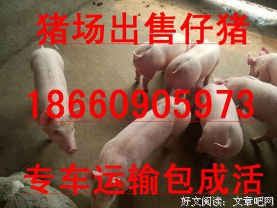 【渡过·周末版】理性而高贵的克制