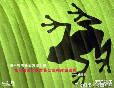 有关(⊙o⊙)哇的句子