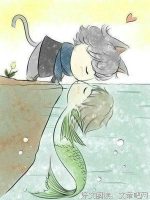 猫有九命，吾唯一心经典的句子