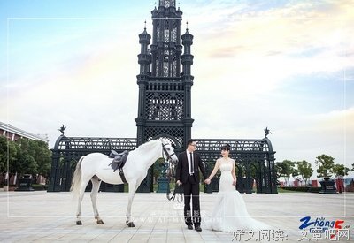婚姻是颗树，承载了太多东西