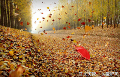 暖暖(｡･ω･｡)的优美句子
