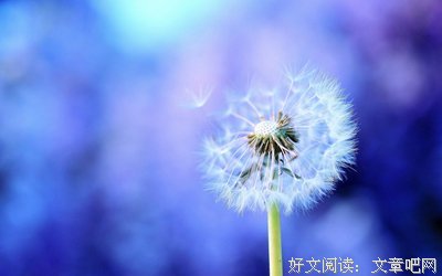 有关故事的句子