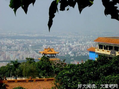 关于马后炮的语句