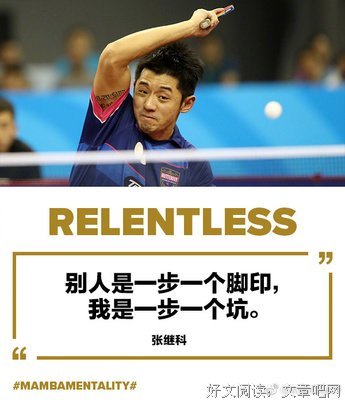 关于张继科的名言