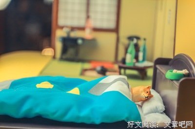 有关说梦者的名言
