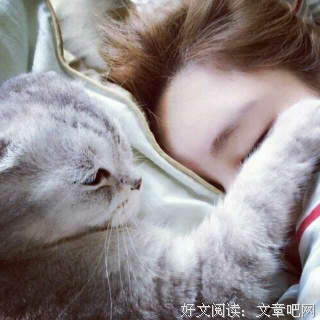 别等他了