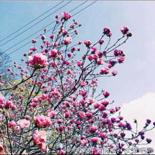 那个嫁了穷人的女同学