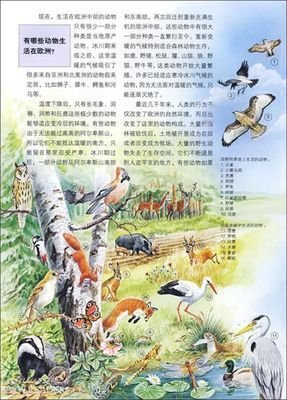《一个人走欧洲》经典读后感10篇