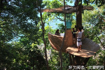 树屋的读后感10篇