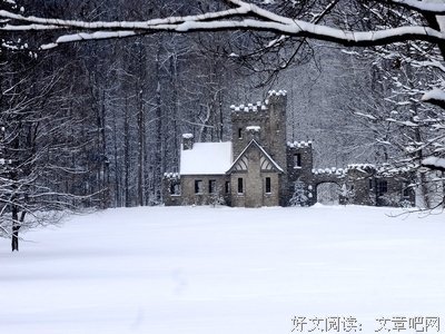 《蚂蚁的眼泪》读后感精选10篇
