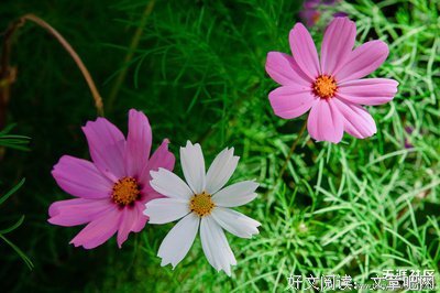 内心“贫穷”的4个原因，你需要舍弃