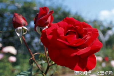 年轻时做些什么，以后才不会后悔？