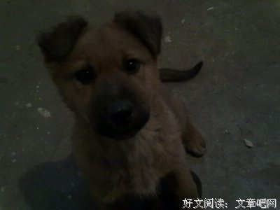 我删除了朋友圈那个贩卖焦虑的人。