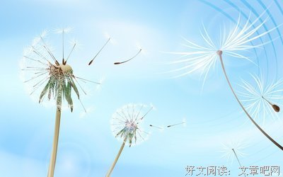 收集句集经典的句子