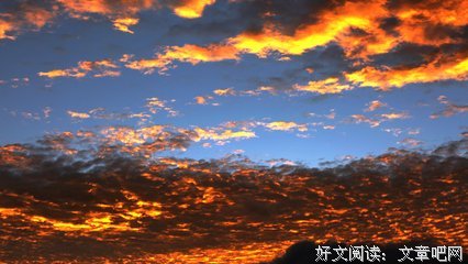 关于元阳的格言