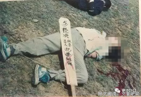 关于任雪的格言