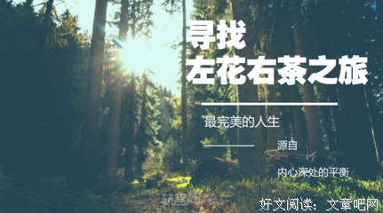 郑俊雅名言大全