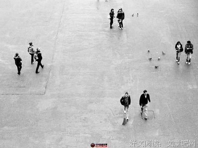 《偶然与巧合》经典观后感集