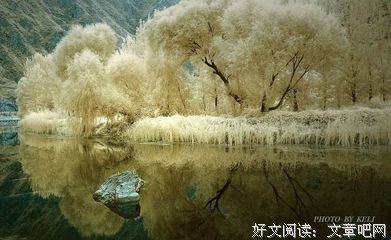 2018幽默微小说：《年龄》