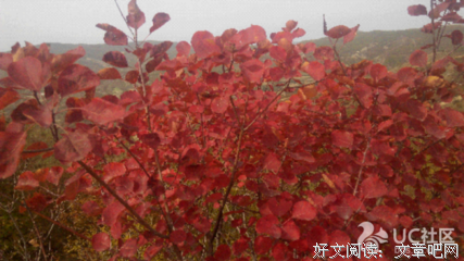 秋已凉，请添衣