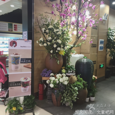 赏秋，颜悦色，心向暖