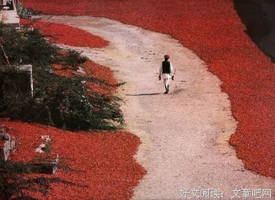 “教你怎么查看朋友圈访客记录。”