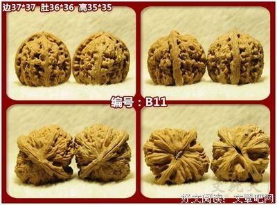 我抓的核桃，价格绝对不敢超过200元！