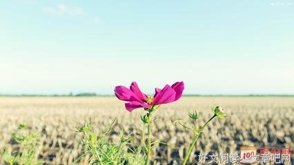 《so 深度》的句子